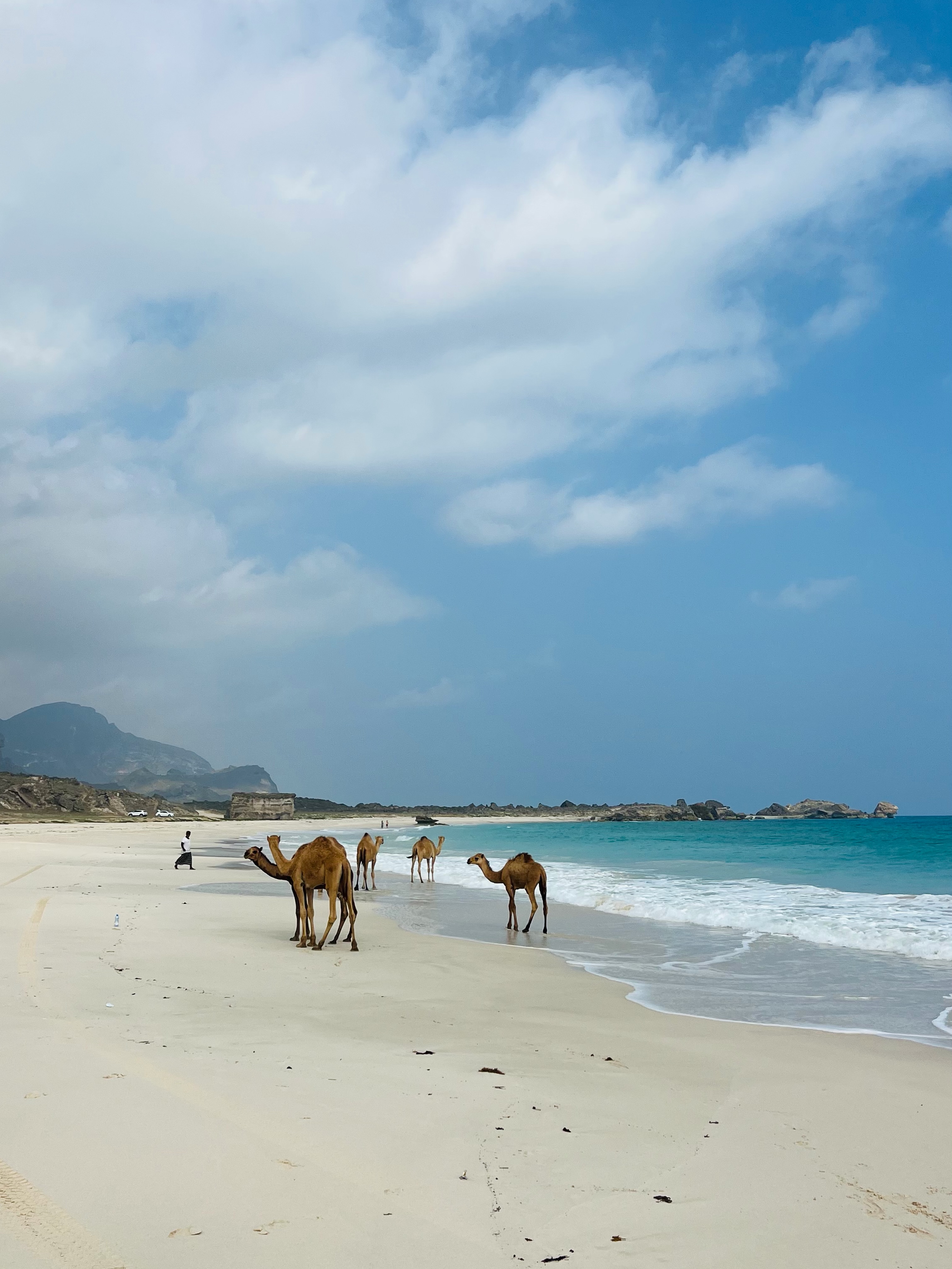 Camels walking along the white sands of Fazayah Beach — one of the most beautiful hidden beaches in Salalah, Oman. A place where turquoise water, dramatic cliffs, and untouched nature create unforgettable views.

Located in the Dhofar region of southern Oman, Fazayah Beach is famous for its crystal-clear water, scenic mountain roads, wild camels, and peaceful atmosphere. The perfect stop during a Salalah road trip or beach adventure.

📍 Fazayah Beach, Salalah, Oman
🚙 Explore hidden beaches and local experiences with Go Salalah Tour

#FazayahBeach #Salalah #Oman #VisitOman #SalalahOman Dhofar OmanTravel TravelOman BeachLife HiddenBeach MiddleEastTravel ExploreOman DiscoverOman Camel BeachViews NatureLovers TravelPhotography AdventureTravel RoadTripOman BeautifulDestinations ParadiseBeach TravelInspiration GoSalalahTour VisitSalalah OmanTourism ArabianTravel ScenicViews OffTheBeatenPath TurquoiseWater BeachAdventure