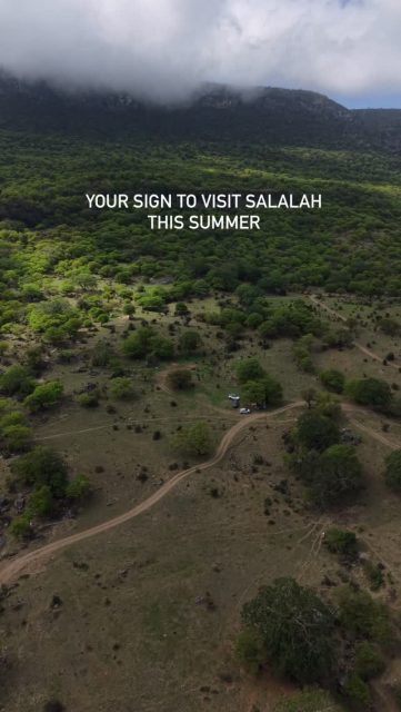 Experience the Magic of Khareef in Salalah 🌿✨

Discover why Salalah is one of the most unique summer destinations in the Middle East. During Khareef season, the mountains turn green, waterfalls flow through the valleys, and cool mist creates landscapes unlike anywhere else in Oman.

Join us to explore:
💦 Wadi Darbat Waterfalls
🌿 Green Mountains & Scenic Viewpoints
☁️ Misty Valleys & Cool Weather
🐪 Camels & Local Culture
🚙 Off-Road Adventures
🌊 Hidden Beaches & Coastal Views

Whether you’re visiting Salalah for the first time or returning to experience the magic again, our local guides will show you the best places and hidden gems of Dhofar.

📩 Send us a message to plan your Khareef adventure or book your tour today.

📍 Salalah, Oman

#Salalah #Khareef #KhareefSeason #SalalahKhareef #VisitSalalah VisitOman OmanTravel TravelOman DiscoverOman Dhofar SalalahTour SalalahTours GoSalalahTour MiddleEastTravel NatureLovers Waterfalls WadiDarbat JebelSamhan AdventureTravel RoadTripOman ExploreOman BucketListTravel SummerDestination TravelPhotography HiddenGem Arabia FamilyTravel LuxuryTravel TravelGuide OmanTourism