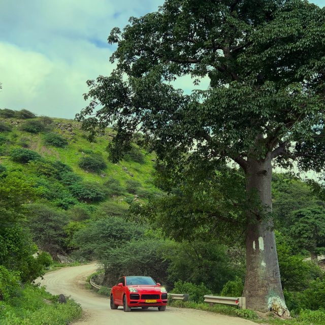 Did you know that Salalah is home to one of the largest natural populations of Baobab trees outside Africa? 🌳✨

Hidden in the mountains of Dhofar, these ancient giants are one of the region’s most unique natural treasures. During the Khareef season, the surrounding landscape turns lush green, making the Baobab Trees one of the most beautiful places to visit in Salalah.

Our East Khareef Tour takes you to this incredible spot, along with Wadi Darbat, Jebel Samhan, Taqa, Gravity Point, and Ayn Athum Waterfall—the perfect way to experience the highlights of eastern Salalah in one unforgettable day.

📍Baobab Trees, Dhofar, Oman
🚙 Private 4x4 tours with a local Omani guide
📩 Send us a message to book your Salalah adventure.

#Salalah #SalalahOman #VisitSalalah #Dhofar #Oman Khareef KhareefSalalah BaobabTrees EastSalalah EastKhareefTour WadiDarbat JebelSamhan Taqa GravityPoint AynAthum OmanTravel VisitOman TravelOman NatureLovers HiddenGems GoSalalahTour

صلالة خريف_صلالة ظفار عمان سياحة_عمان سياحة_صلالة شجرة_الباوباب أشجار_الباوباب وادي_دربات جبل_سمحان طاقة عين_أثوم معالم_صلالة رحلات_صلالة جولات_صلالة اكتشف_صلالة اكتشف_عمان دليل_صلالة