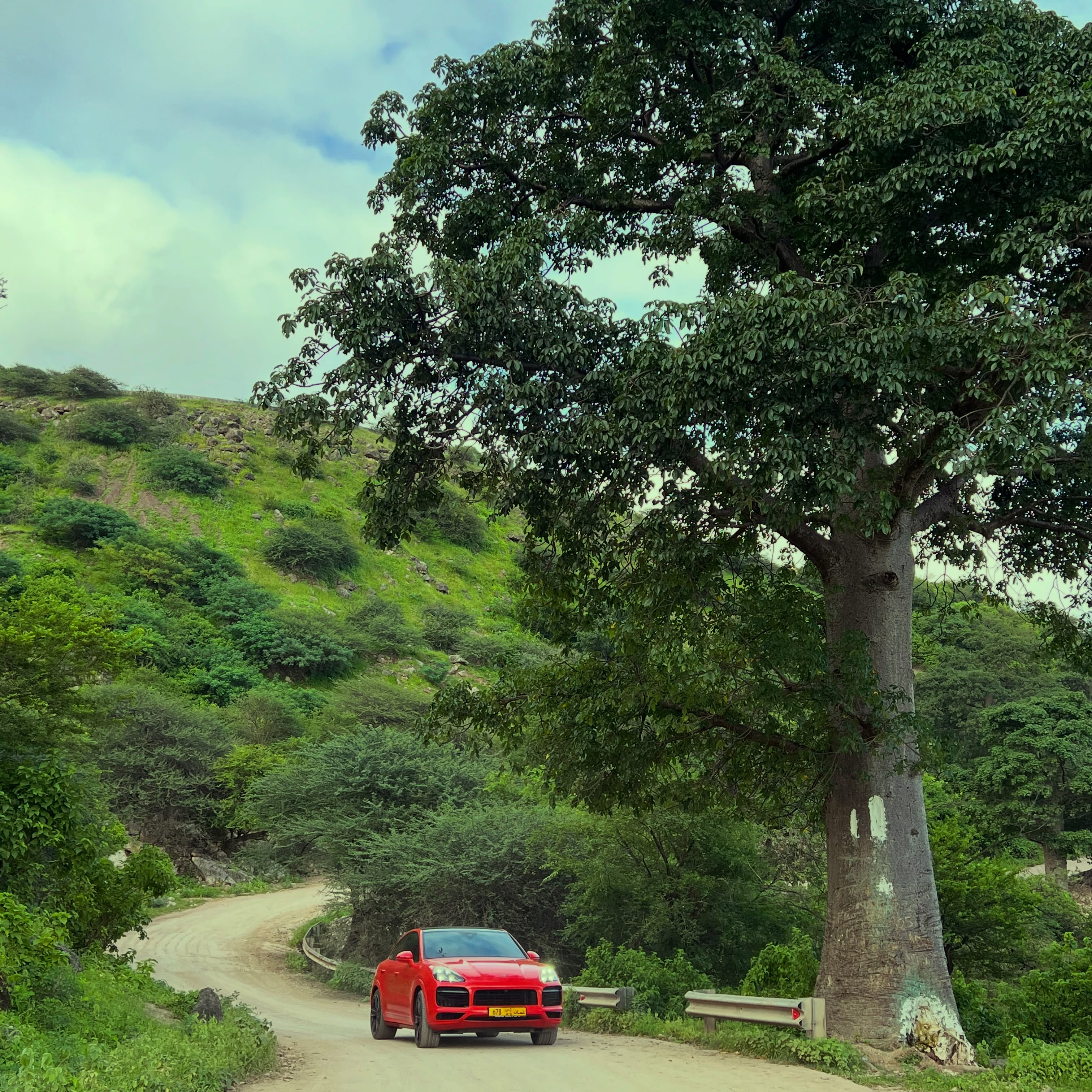 Did you know that Salalah is home to one of the largest natural populations of Baobab trees outside Africa? 🌳✨

Hidden in the mountains of Dhofar, these ancient giants are one of the region’s most unique natural treasures. During the Khareef season, the surrounding landscape turns lush green, making the Baobab Trees one of the most beautiful places to visit in Salalah.

Our East Khareef Tour takes you to this incredible spot, along with Wadi Darbat, Jebel Samhan, Taqa, Gravity Point, and Ayn Athum Waterfall—the perfect way to experience the highlights of eastern Salalah in one unforgettable day.

📍Baobab Trees, Dhofar, Oman
🚙 Private 4x4 tours with a local Omani guide
📩 Send us a message to book your Salalah adventure.

#Salalah #SalalahOman #VisitSalalah #Dhofar #Oman Khareef KhareefSalalah BaobabTrees EastSalalah EastKhareefTour WadiDarbat JebelSamhan Taqa GravityPoint AynAthum OmanTravel VisitOman TravelOman NatureLovers HiddenGems GoSalalahTour

صلالة خريف_صلالة ظفار عمان سياحة_عمان سياحة_صلالة شجرة_الباوباب أشجار_الباوباب وادي_دربات جبل_سمحان طاقة عين_أثوم معالم_صلالة رحلات_صلالة جولات_صلالة اكتشف_صلالة اكتشف_عمان دليل_صلالة
