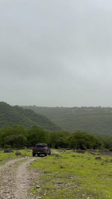 🌿 Experience the magic of Khareef in Salalah, Oman.

Every year, the Khareef season in Salalah transforms the Dhofar region into a lush green paradise with misty mountains, flowing waterfalls, natural springs, and breathtaking landscapes unlike anywhere else in the Arabian Peninsula.

If you’re planning a Salalah holiday or looking for the best things to do in Salalah, exploring Khareef with a local guide is the perfect way to discover the region’s hidden gems.

📍 Salalah, Dhofar, Oman

✨ Book your Khareef tour with Go Salalah Tour and let us show you the most beautiful places in Salalah with experienced local guides.

📩 Send us a message to plan your trip.

#Salalah #Khareef #KhareefSeason #SalalahKhareef #SalalahOman VisitSalalah VisitOman Oman TravelOman OmanTourism Dhofar ExploreOman SalalahTour KhareefTour SalalahTravel ThingsToDoInSalalah MiddleEastTravel NatureLovers Waterfalls HiddenGems GoSalalah GoSalalahTour DiscoverOman PrivateTours TravelGuide

⸻

العربية

🌿 اكتشف سحر موسم الخريف في صلالة، عُمان.

خلال موسم خريف صلالة تتحول محافظة ظفار إلى جنة خضراء مليئة بالجبال الضبابية، والشلالات، والعيون الطبيعية، والمناظر التي تجعلها واحدة من أجمل الوجهات السياحية في الشرق الأوسط.

إذا كنت تخطط لزيارة صلالة وتبحث عن أفضل الأماكن والأنشطة، فإن الجولات مع مرشد محلي هي أفضل طريقة لاكتشاف جمال المنطقة.

📍 صلالة، محافظة ظفار، سلطنة عُمان

✨ احجز جولتك مع Go Salalah Tour واستمتع بأجمل معالم صلالة مع مرشدين محليين ذوي خبرة.

📩 راسلنا الآن لحجز رحلتك.

صلالة خريف_صلالة ظفار عمان سياحة_عمان زيارة_عمان اكتشف_عمان اكتشف_صلالة رحلات_صلالة جولات_صلالة الخريف طبيعة شلالات جبال وجهات_سياحية سفر رحلات دليل_سياحي