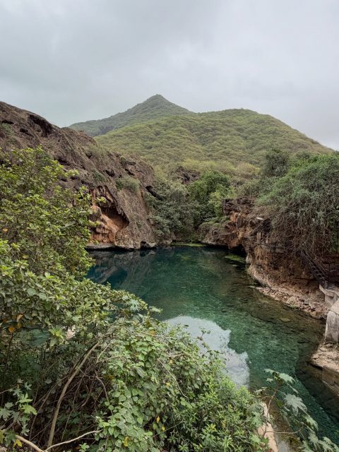 🌿💧 Ayn Sahalnoot — a peaceful green escape in Salalah, Oman.

Just a short drive from Salalah city, Ayn Sahalnoot is surrounded by mountains, greenery and natural spring water. During Khareef season, Wadi Sahalnoot becomes especially beautiful, with lush landscapes, misty mountains and a refreshing atmosphere.

It’s a great spot to slow down, enjoy nature and experience one of the quieter sides of Dhofar, Oman.

📍 Ayn Sahalnoot, Wadi Sahalnoot, Dhofar, Oman

✨ Add Ayn Sahalnoot to your Salalah Khareef itinerary and explore more of Dhofar with Go Salalah Tour.

📩 Book your private Khareef tour with us and discover the green mountains, natural springs, waterfalls and hidden gems of southern Oman.

#AynSahalnoot #AinSahalnoot #Sahalnoot #WadiSahalnoot #Salalah SalalahOman Khareef KhareefSeason SalalahKhareef Dhofar DhofarOman Oman VisitOman VisitSalalah OmanTourism TravelOman ThingsToDoInSalalah SalalahTours SalalahTravel ExploreDhofar ExploreOman NatureOman GoSalalahTour

⸻

🌿💧 عين صحنلوت — وجهة طبيعية هادئة في صلالة، عُمان.

تقع عين صحنلوت بالقرب من مدينة صلالة، وتحيط بها الجبال والطبيعة الخضراء والمياه الطبيعية. وخلال موسم خريف صلالة، تزداد المنطقة جمالًا مع الخضرة والضباب والأجواء المنعشة.

مكان رائع للاستمتاع بالطبيعة والهدوء واكتشاف جانب مختلف من جمال ظفار.

📍 عين صحنلوت، وادي صحنلوت، ظفار، سلطنة عُمان

✨ أضف عين صحنلوت إلى برنامج خريف صلالة واستكشف المزيد من جمال ظفار مع Go Salalah Tour.

📩 احجز جولتك الخاصة في خريف صلالة معنا واكتشف الجبال الخضراء والعيون الطبيعية والشلالات والأماكن المخفية في جنوب عُمان.

عين_صحنلوت صحنلوت وادي_صحنلوت صلالة صلالة_عمان خريف_صلالة الخريف ظفار عمان زيارة_عمان سياحة_عمان اكتشف_عمان جولات_صلالة سياحة_صلالة طبيعة_عمان اكتشف_ظفار GoSalalahTour