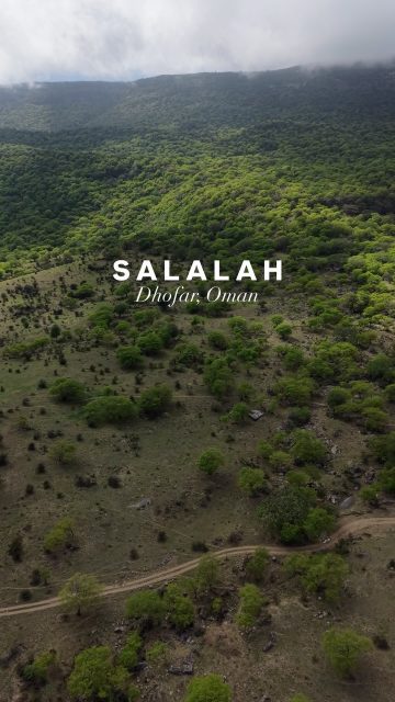 🌿☁️ Looking for a cooler summer escape in the GCC?

While August brings intense summer heat across much of the Gulf, Salalah enjoys a mild, refreshing climate during the Khareef season — making it one of the best summer destinations in the GCC. 💚

Escape the heat, discover green mountains, misty valleys and waterfalls, and experience the magic of Khareef Salalah. 🌧️🌴

📍 Salalah, Dhofar Region in Oman 🇴🇲

✨ Plan your Salalah trip with Go Salalah Tour and discover the best of Dhofar.

#Salalah #SalalahOman #Dhofar #DhofarOman #Khareef KhareefSeason SalalahKhareef VisitOman TravelOman OmanTourism GCCTravel SummerTravel CoolSummer ThingsToDoInSalalah ExploreOman DiscoverOman GoSalalahTour