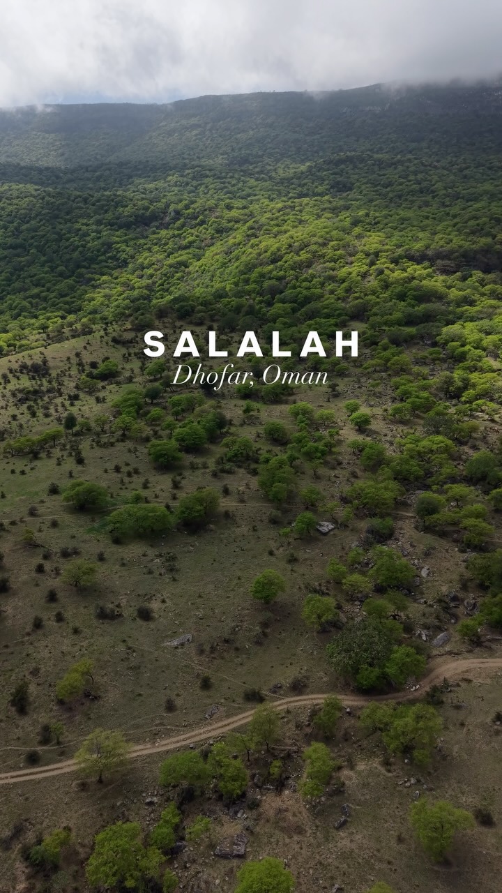 🌿☁️ Looking for a cooler summer escape in the GCC?

While August brings intense summer heat across much of the Gulf, Salalah enjoys a mild, refreshing climate during the Khareef season — making it one of the best summer destinations in the GCC. 💚

Escape the heat, discover green mountains, misty valleys and waterfalls, and experience the magic of Khareef Salalah. 🌧️🌴

📍 Salalah, Dhofar Region in Oman 🇴🇲

✨ Plan your Salalah trip with Go Salalah Tour and discover the best of Dhofar.

#Salalah #SalalahOman #Dhofar #DhofarOman #Khareef KhareefSeason SalalahKhareef VisitOman TravelOman OmanTourism GCCTravel SummerTravel CoolSummer ThingsToDoInSalalah ExploreOman DiscoverOman GoSalalahTour