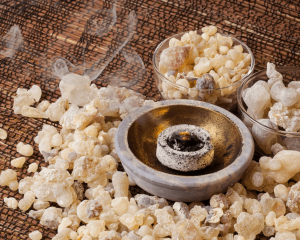 阅读更多关于《佐法尔乳香：王者之礼》的文章