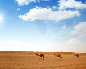 Lesen Sie mehr über den Artikel „Erkundung der Geheimnisse von Rub&#39; al Khali: Die größte Sandwüste der Welt“.