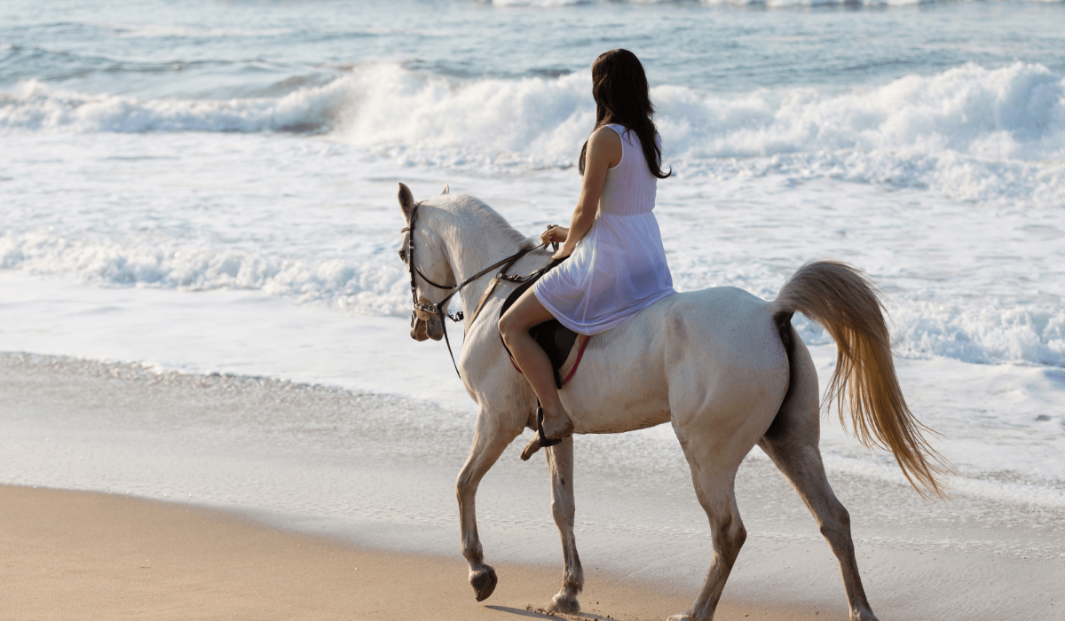 Kobiety jadące plażą na białym koniu