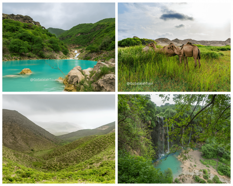 باقة سياحية إلى الخريف