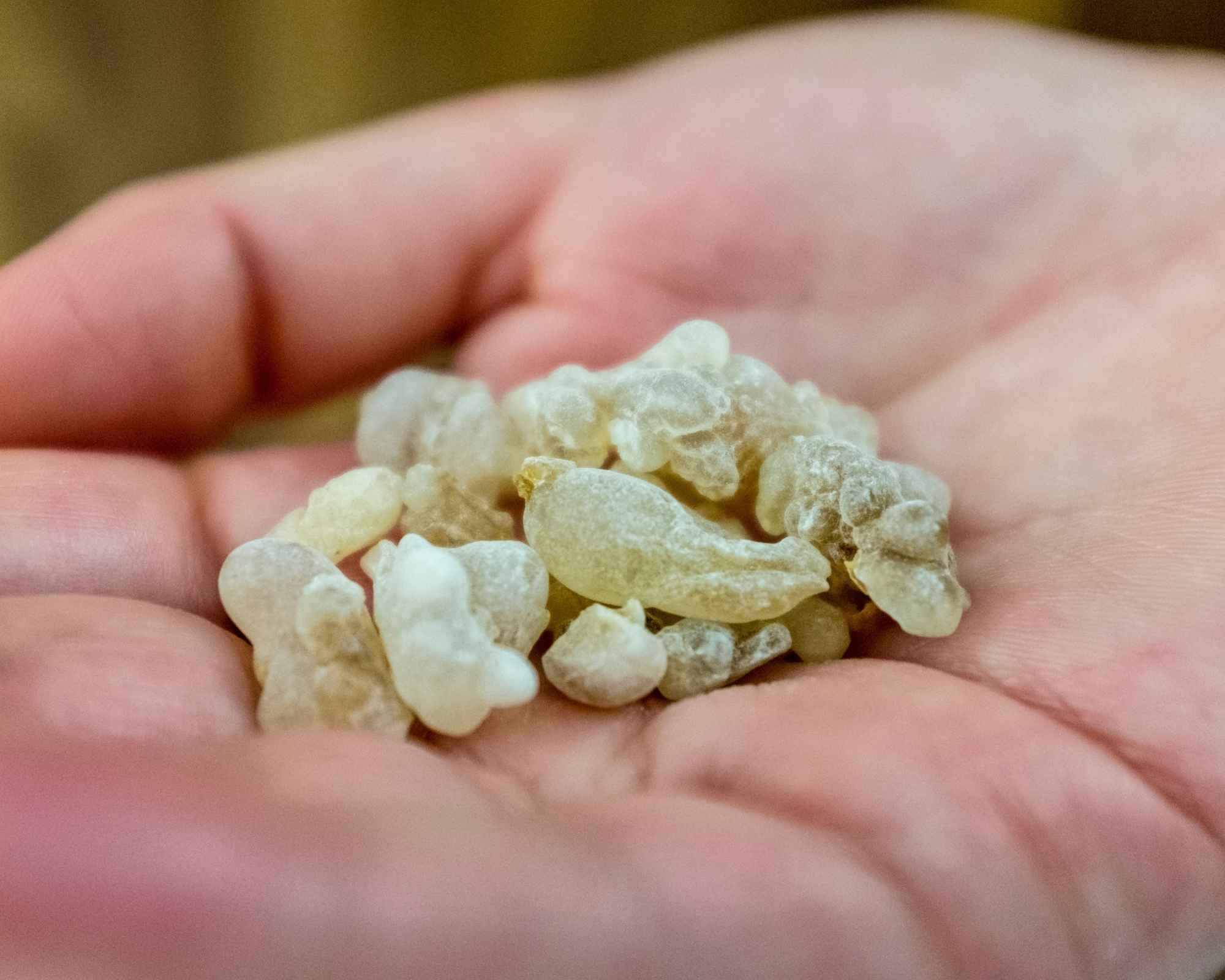 Omani Frankincense Salalah