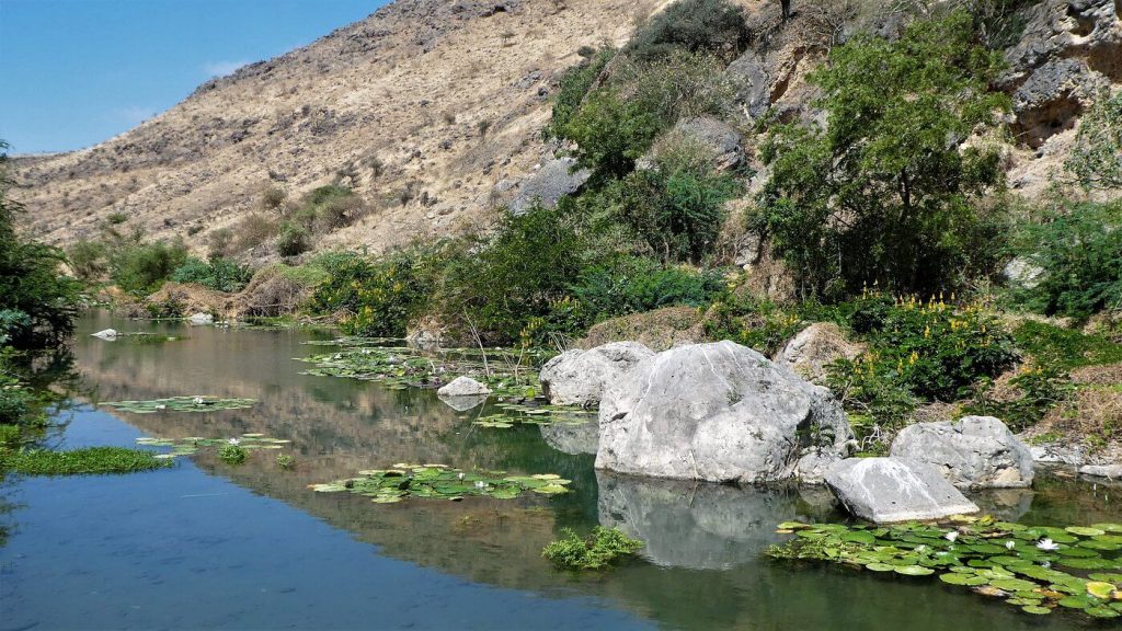 Ayn Razat Spring Salalah