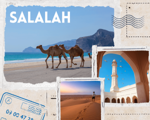 Przeczytaj więcej o artykule Ile dni potrzebujesz w Salalah?