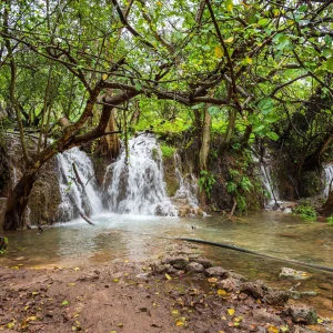 萨拉拉哈里夫四日游