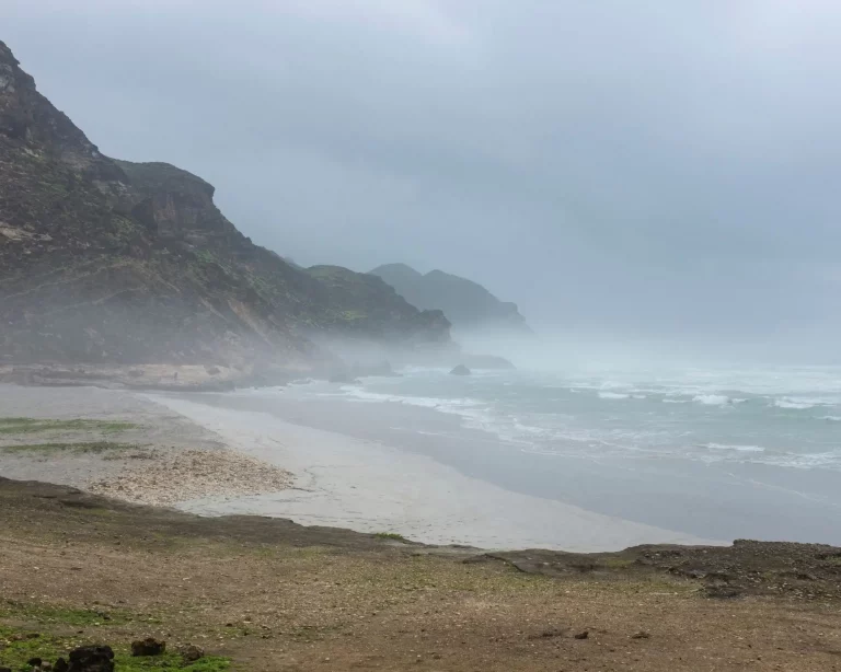 Ayn Nujib & Jibjat Tour