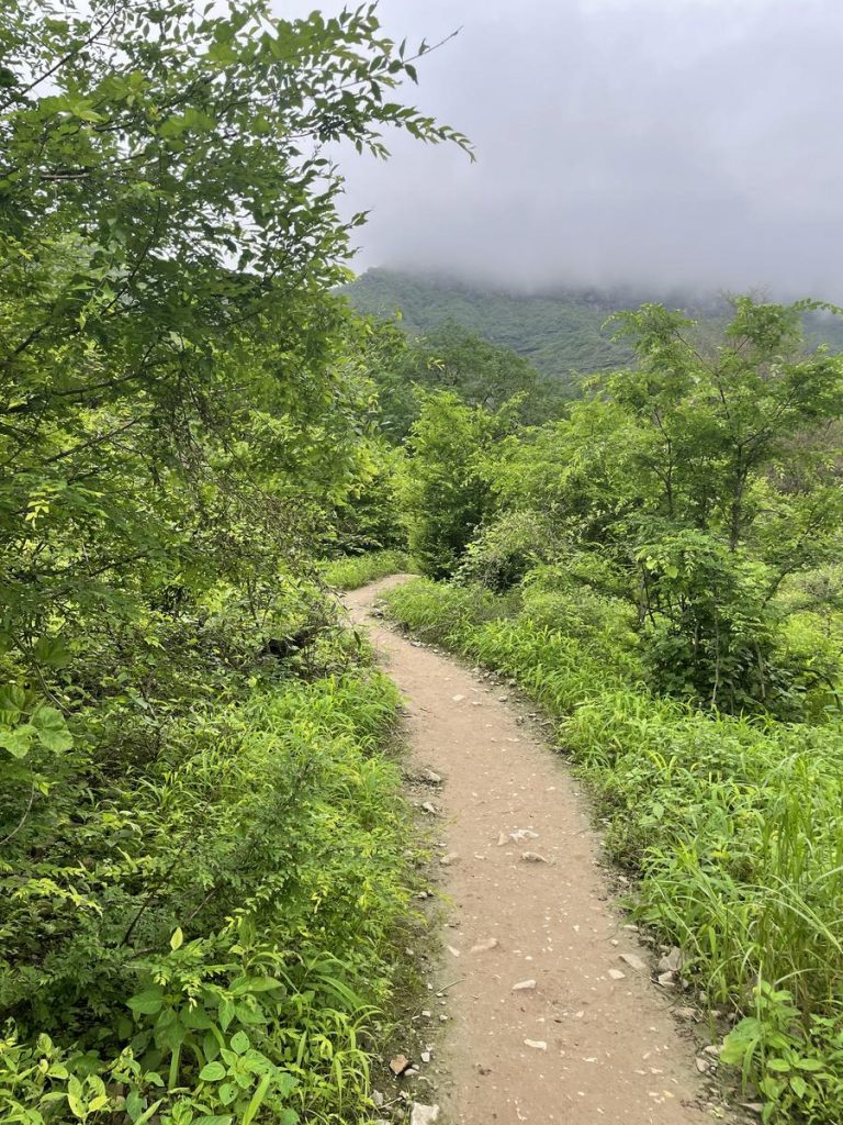 Айн Гедх походы