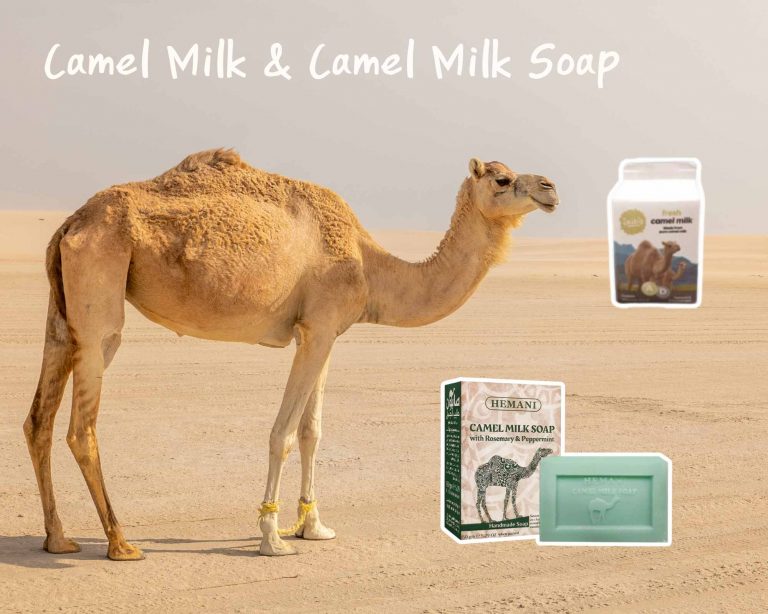 Camel Milk & Camel Milk Soap