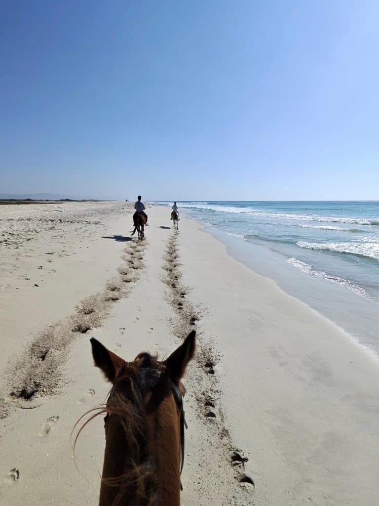 Horse Riding Salalah