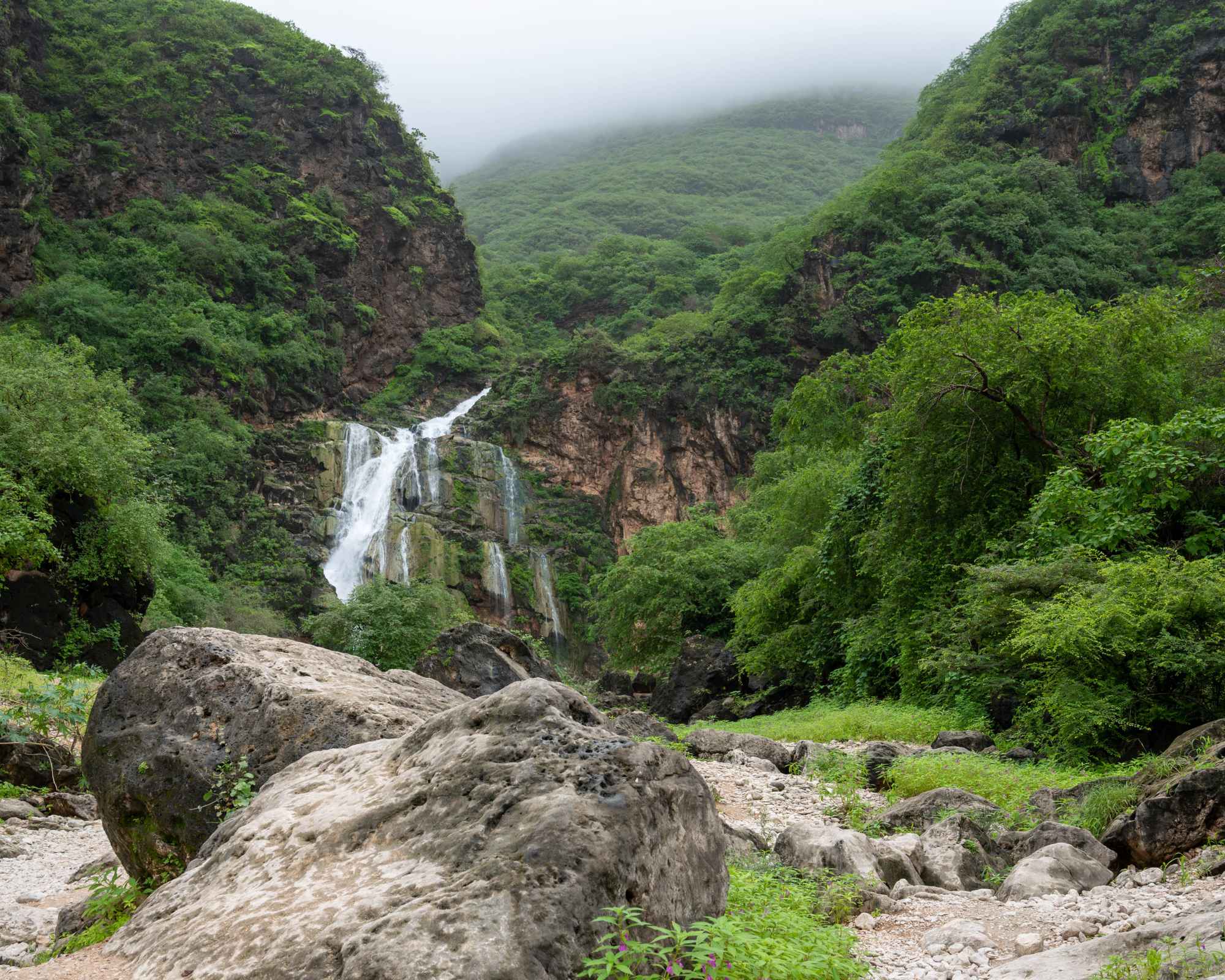 Khareef Salalah Green Landscape
